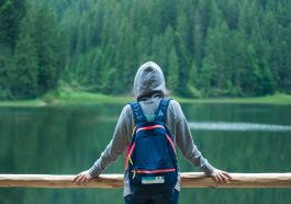 Person Wearing Gray Hoodie Jacket Watching Lake
